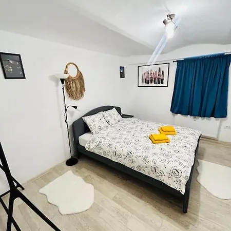 Vibrant #12lunipebega شقة