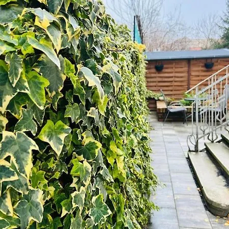 Vibrant #12lunipebega * تيميشورا