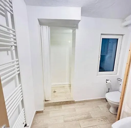 Vibrant #12lunipebega * Timişoara