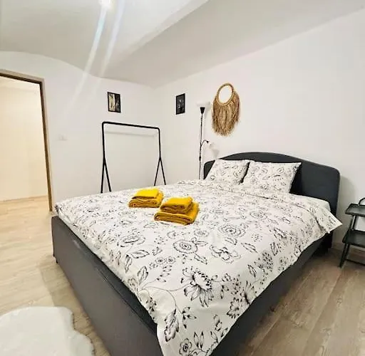 Vibrant #12lunipebega Timisoara