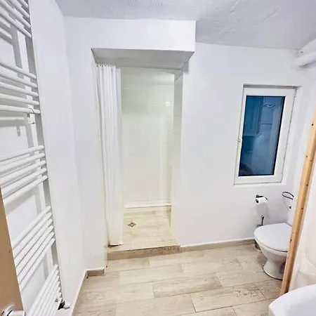 Vibrant #12lunipebega * Timisoara