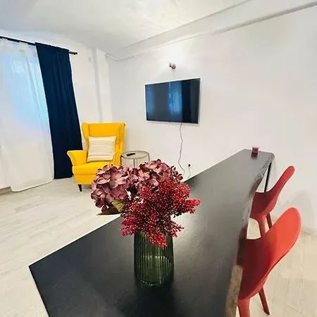 Vibrant #12lunipebega Timisoara