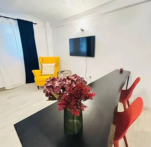 Vibrant #12lunipebega Timisoara