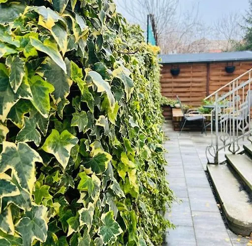 Vibrant #12lunipebega * Timisoara